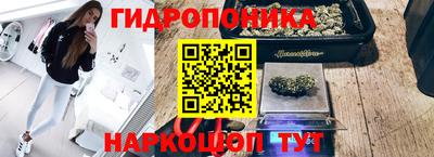 стафф Лесосибирск