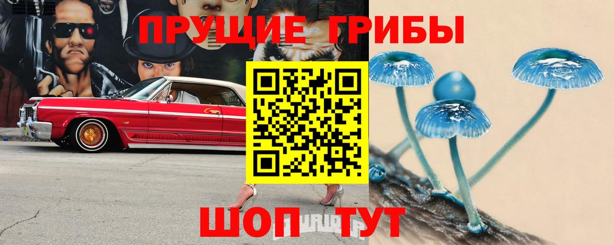 Галлюциногенные грибы MAGIC MUSHROOMS Домодедово