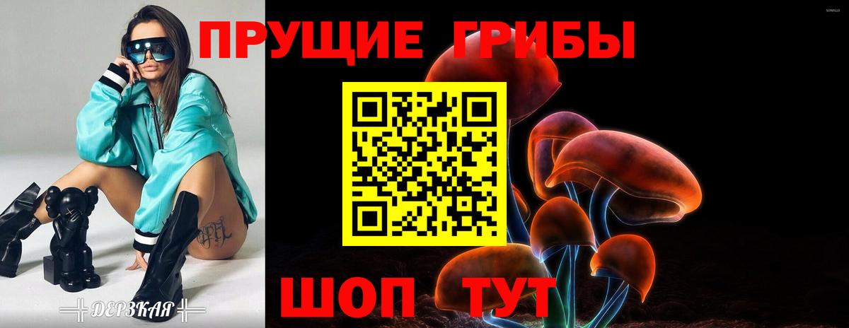 Псилоцибиновые грибы мицелий  Вход с VPN  Домодедово 